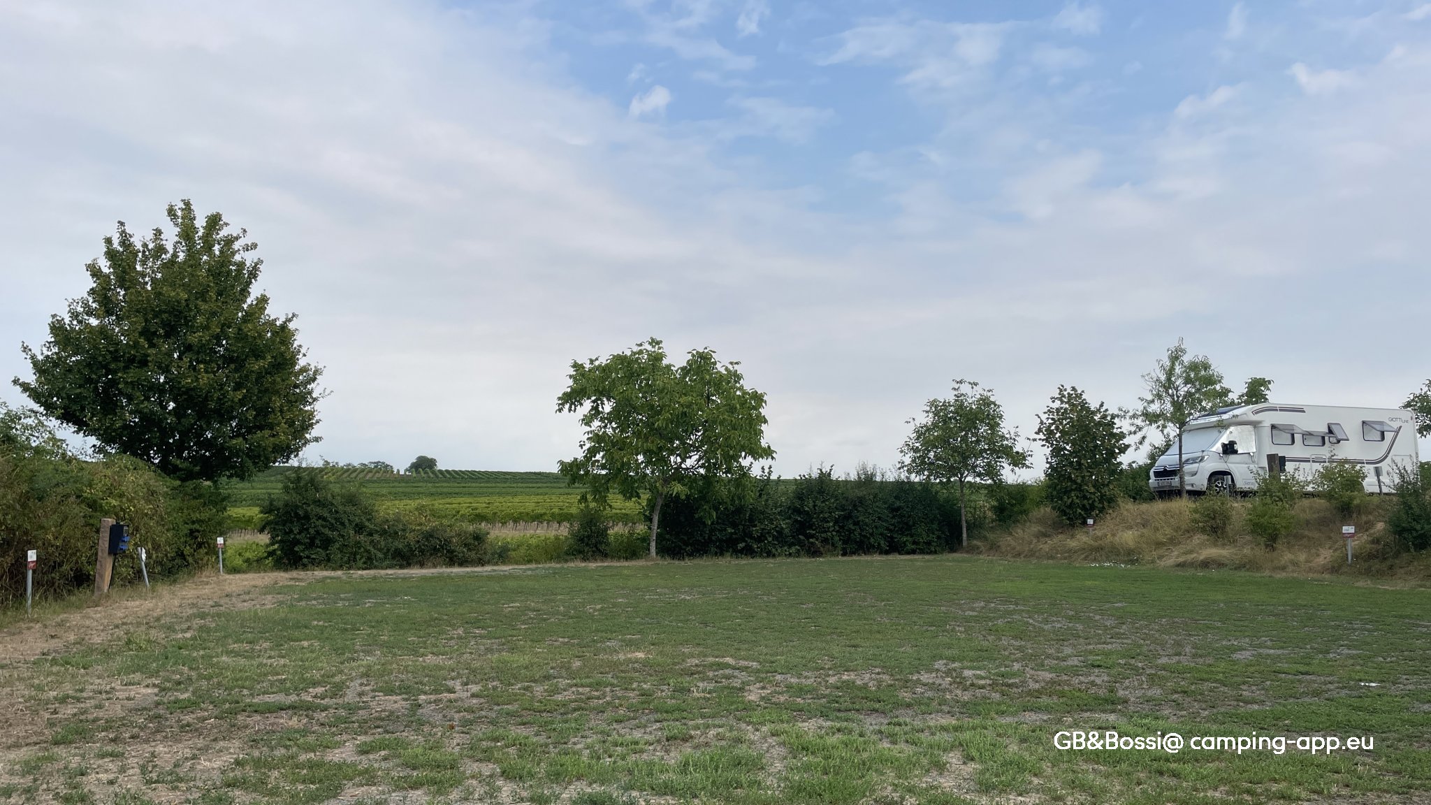 Stellplatz am Familienweingut Geiger Dierbach — Foto 3