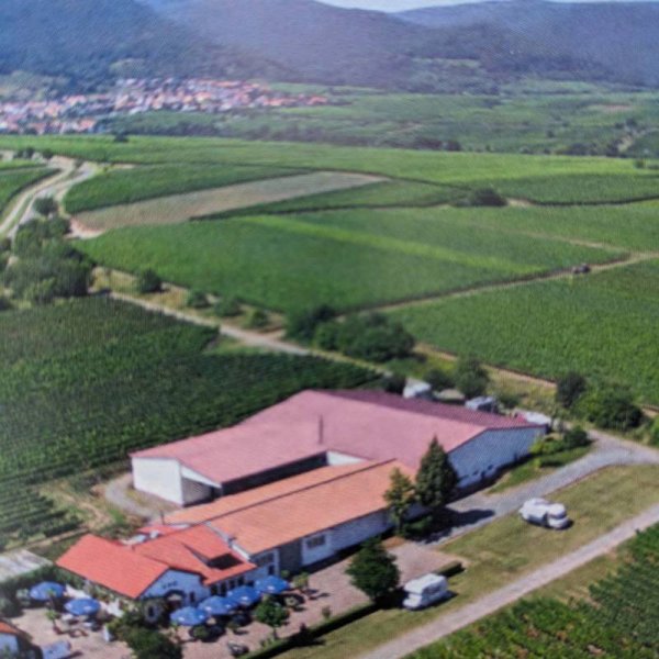 Weingut Edel-Brauch Edenkoben — Photo 4