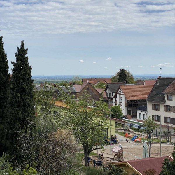 Weingut Edel-Brauch Edenkoben — Foto 3
