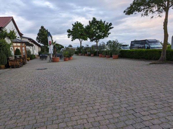 Weingut Edel-Brauch Edenkoben — Photo 6