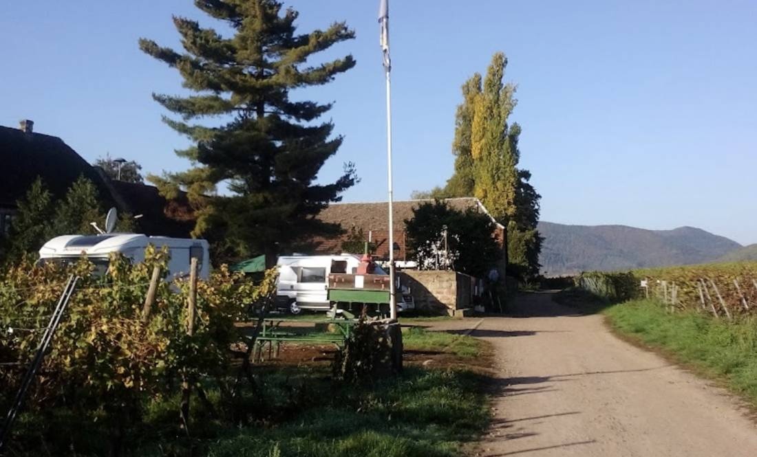 Stellplatz am Weingut Braun & Söhne — Winery in Edesheim