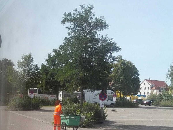 Stellplatz P3 Rothenburg ob der Tauber — Photo 5