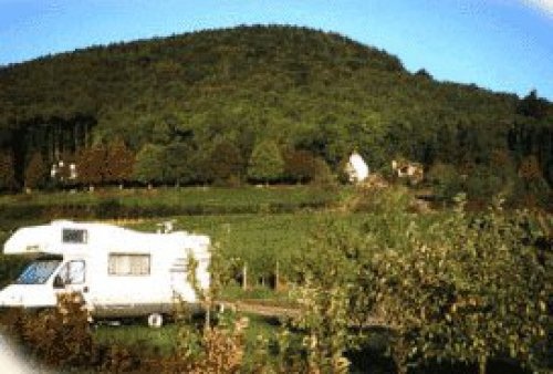 Stellplatz am Winzerhof am Teufelsberg Gleisweiler — Winery in Gleisweiler