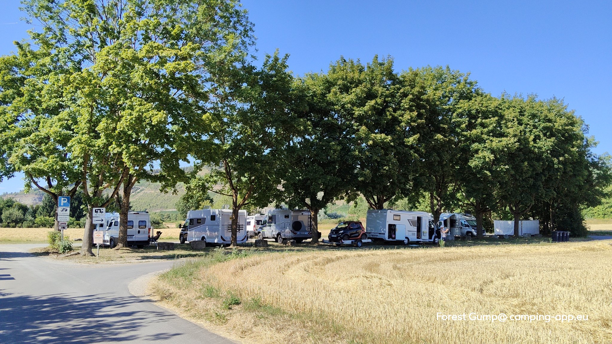 Thüngersheim — Camperplads in Thüngersheim