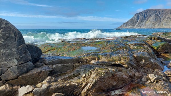 Lofoten Beach Camp — Foto 2