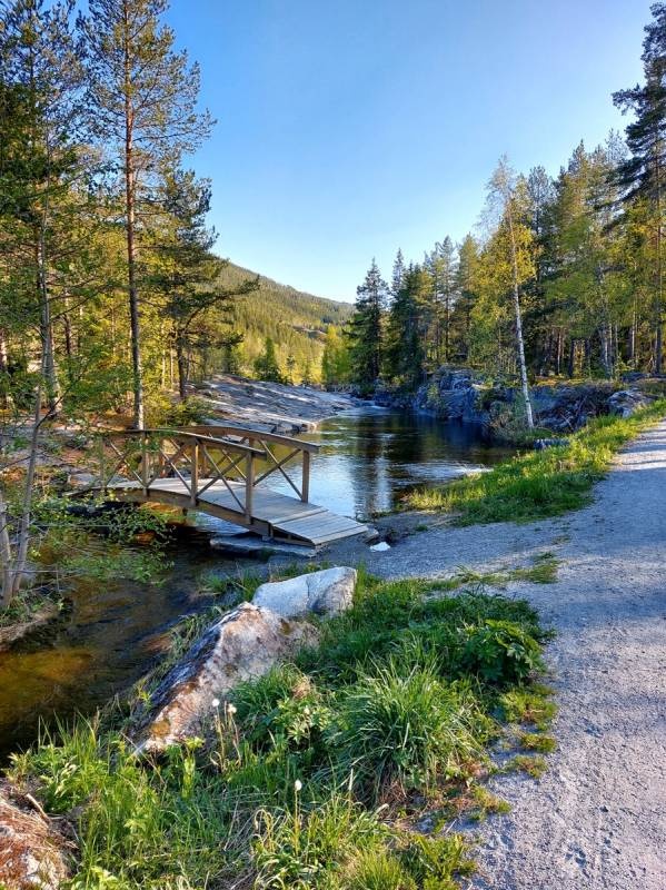 Ål camping — Campingplads in Ål