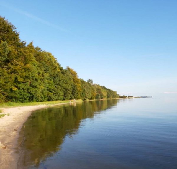 Campingplatz und Ferienhäuser Haffküste — Photo 2