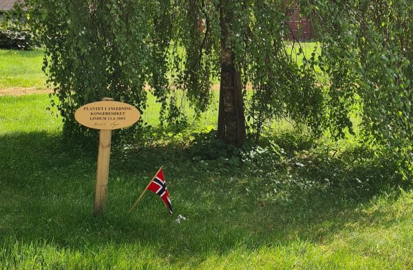 Lindum Camping — Photo 2