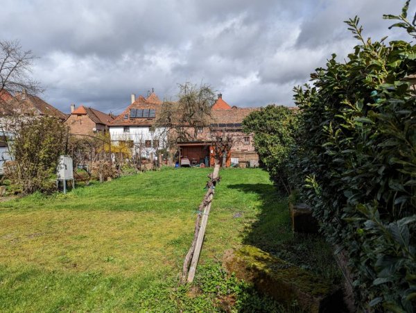 Weingut Seitz-Schreiner — Foto 2