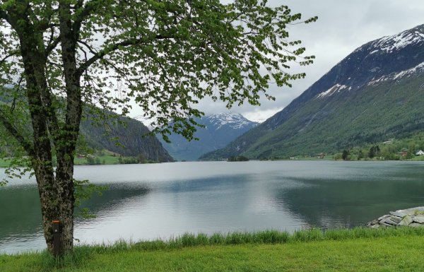 Mindresunde Camping — Photo 2