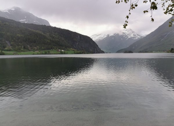 Mindresunde Camping — Photo 5