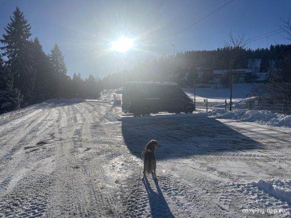 Stellplatz Feldberg / Altglashütten — Foto 2
