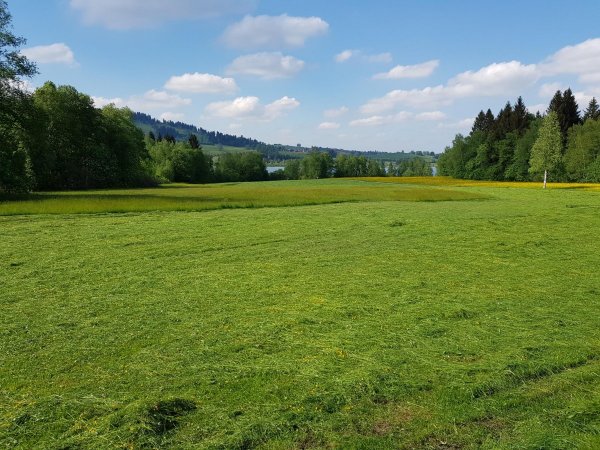 Stellplatz am Buron — Photo 3