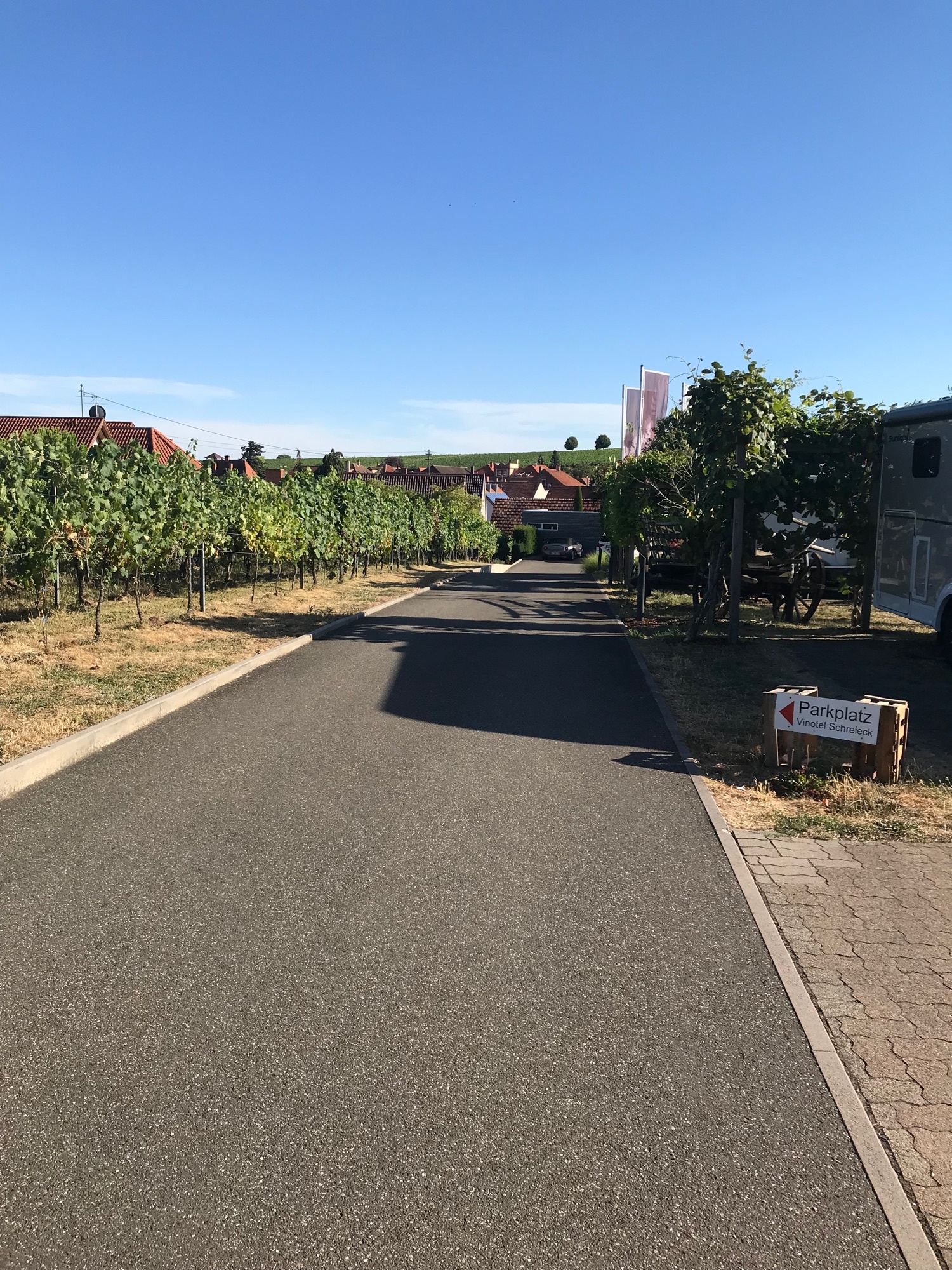 Stellplatz am Weingut Schreieck — Winery in St. Martin