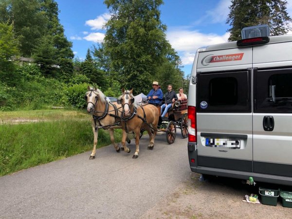 Terrassen-Camping Sandbank — Photo 3