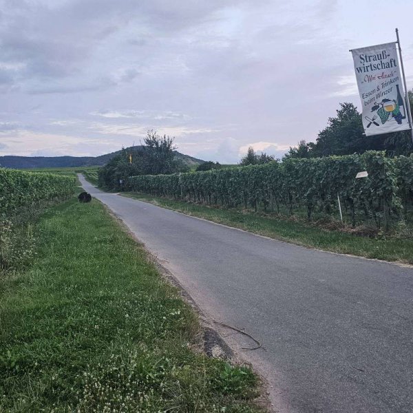 Wohnmobilstellplatz Offm' Herach Köwerich — Photo 2