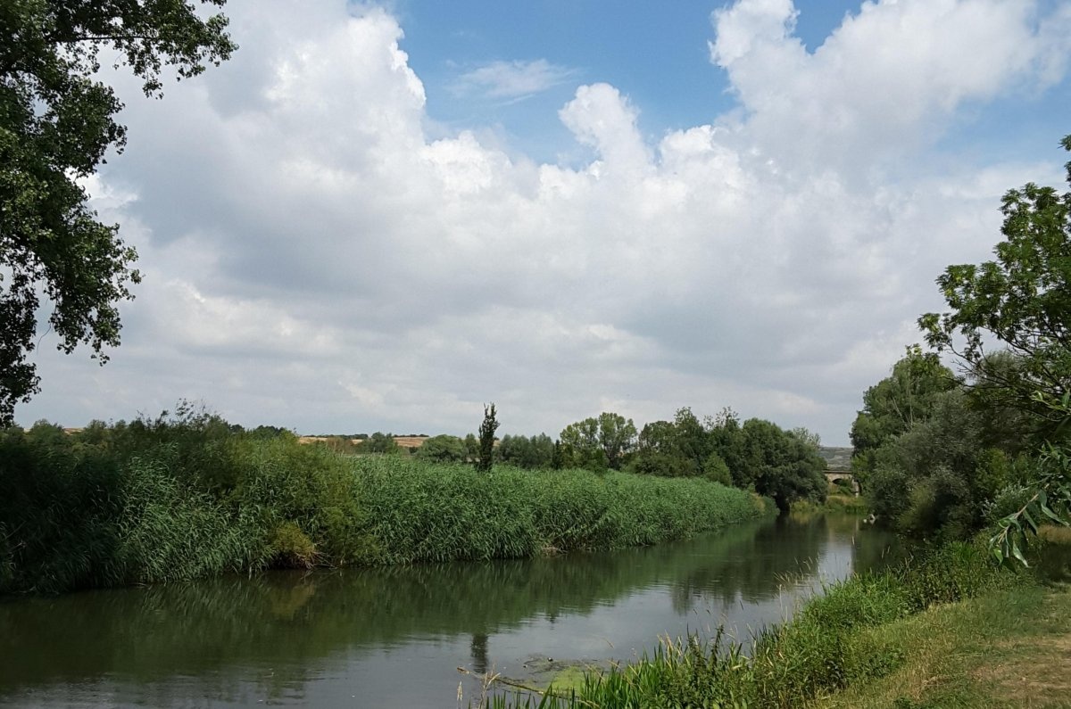 OUTTOUR Stellplatz an der Unstrut — 露营车营地 in Kirchscheidungen