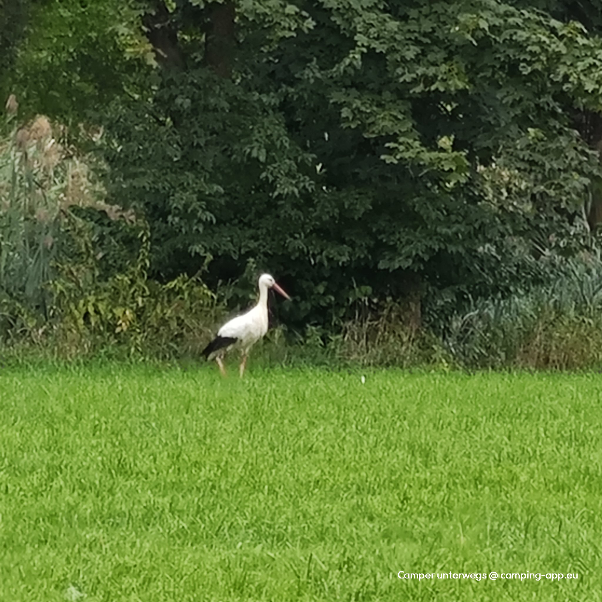 Campingplatz Felbermühle — Fotografie 2