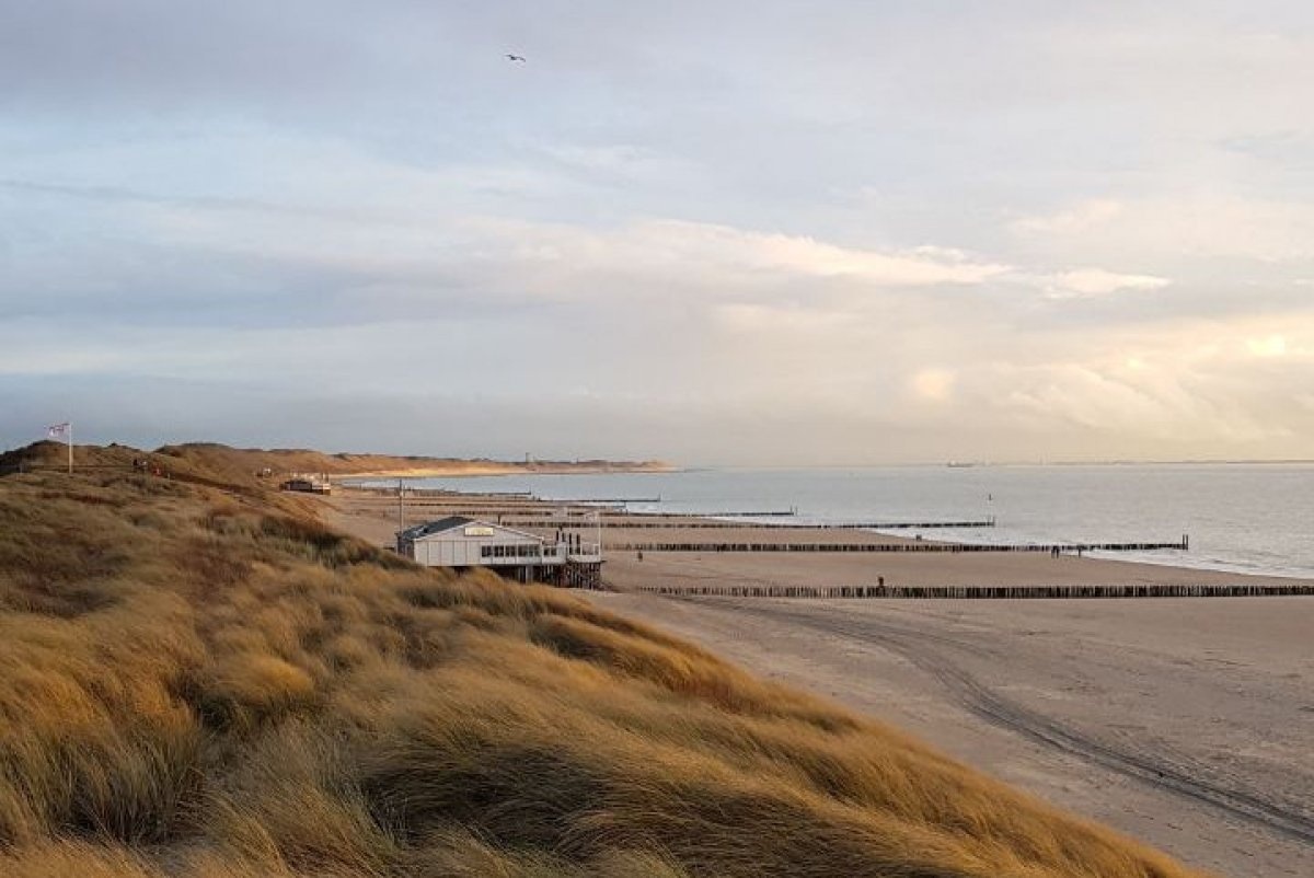 Camping Weltevreden — Campingplatz in Zoutelande