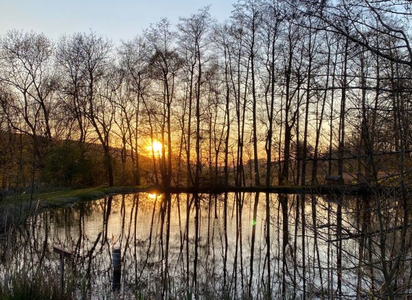 Eurocamping Lienen — Photo 3