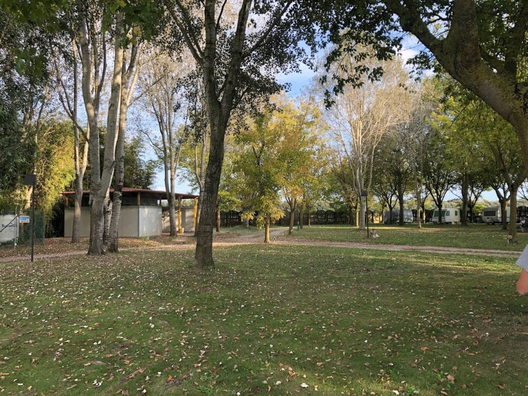 Oasi Park — Stellplatz in Bosco Mesola