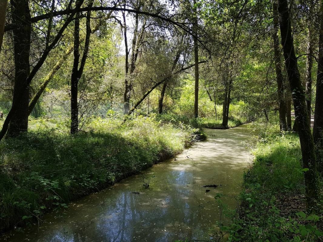 Oasi Park — Campervan Site in Bosco Mesola