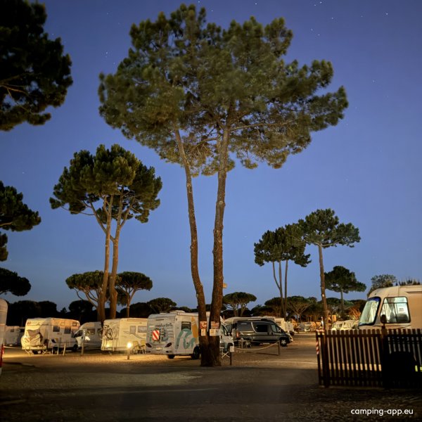Algarve Motorhome Park Falésia — Foto 3