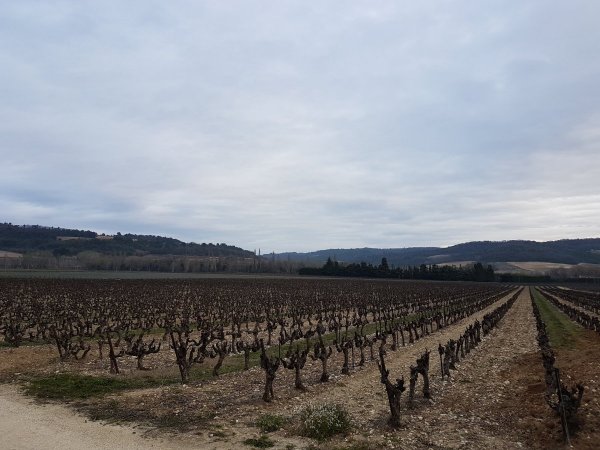 Domaine des Lauribert — Foto 3