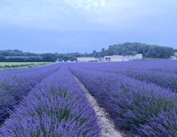 Domaine des Lauribert — Photo 2