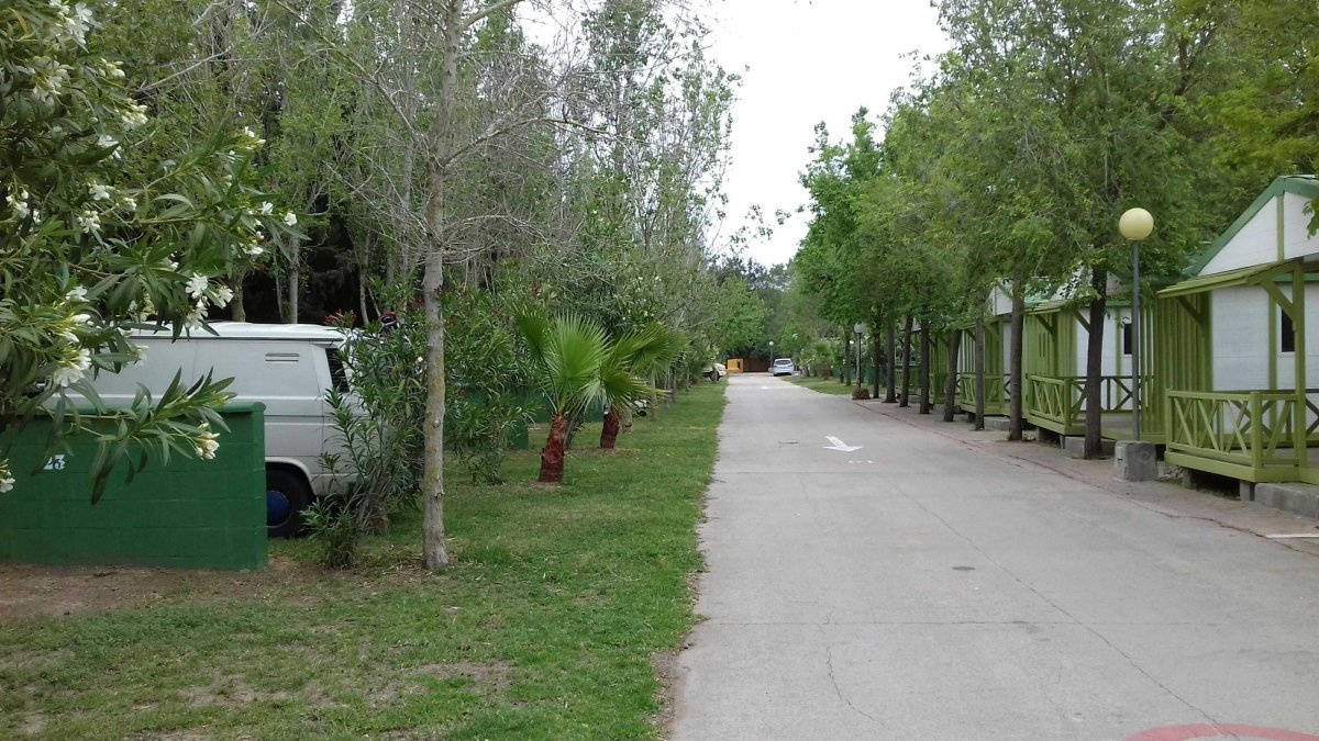 Camping Roche — Місце для кемпінгу in Conil de la Frontera