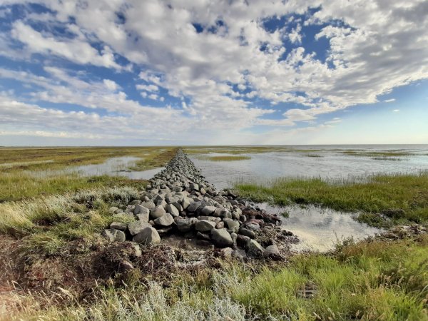 Stellplatz Friedrichskoog Spitze — Photo 4
