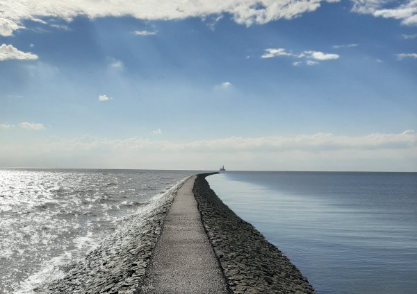 Stellplatz Friedrichskoog Spitze — Photo 5