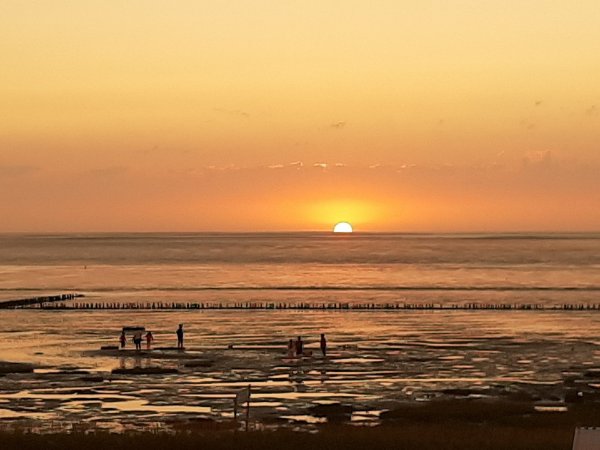 Stellplatz Friedrichskoog Spitze — Photo 6