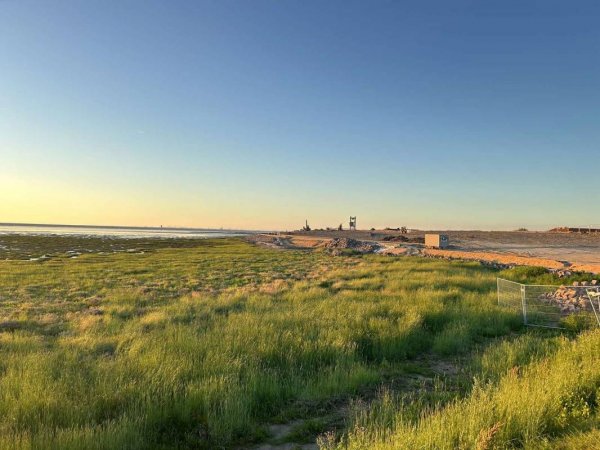 Stellplatz Friedrichskoog Spitze