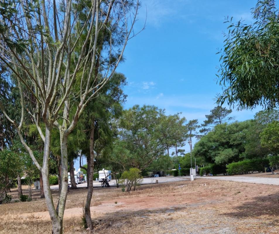 Camping Milfontes *** — Kamp yeri in Vila Nova de Milfontes