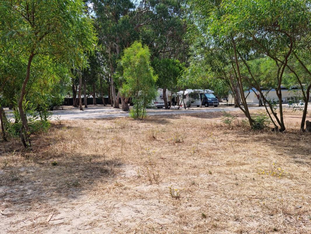 Camping Milfontes — Kemp in Vila Nova de Milfontes