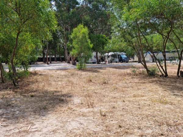 Camping Milfontes *** — Fotoğraf 3