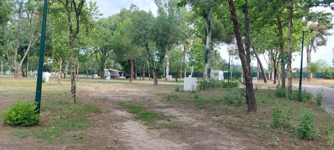 Parque de Campismo de Castelo Branco — Area da campeggio in Castelo Branco