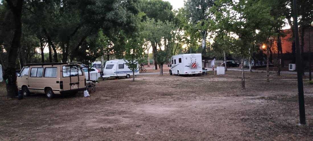 Parque de Campismo de Castelo Branco — Sítio de acampamento in Castelo Branco