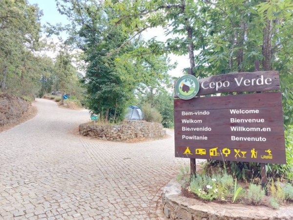 Cepo Verde — Photo 2