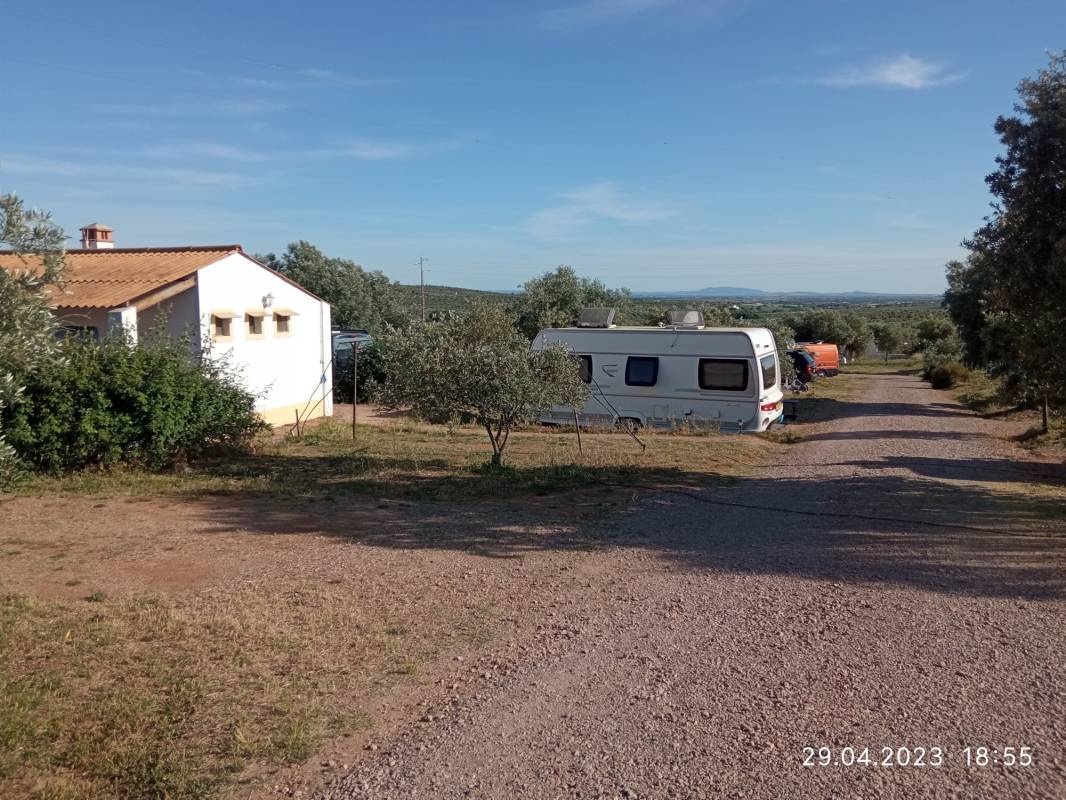 Parque de Campismo Rural Camping Os Anjos — Camping in Campo Maior