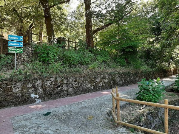 Parque de Campismo de São Gião — Photo 2