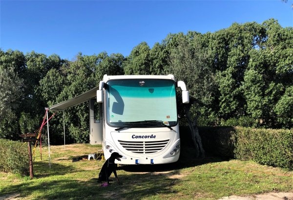 Parque de Campismo de Alcácer do Sal — Kemp in Alcácer do Sal