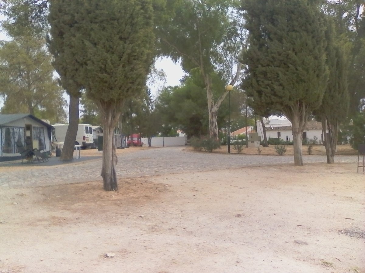 Parque Campismo Municipal de Serpa — Kemping in Serpa