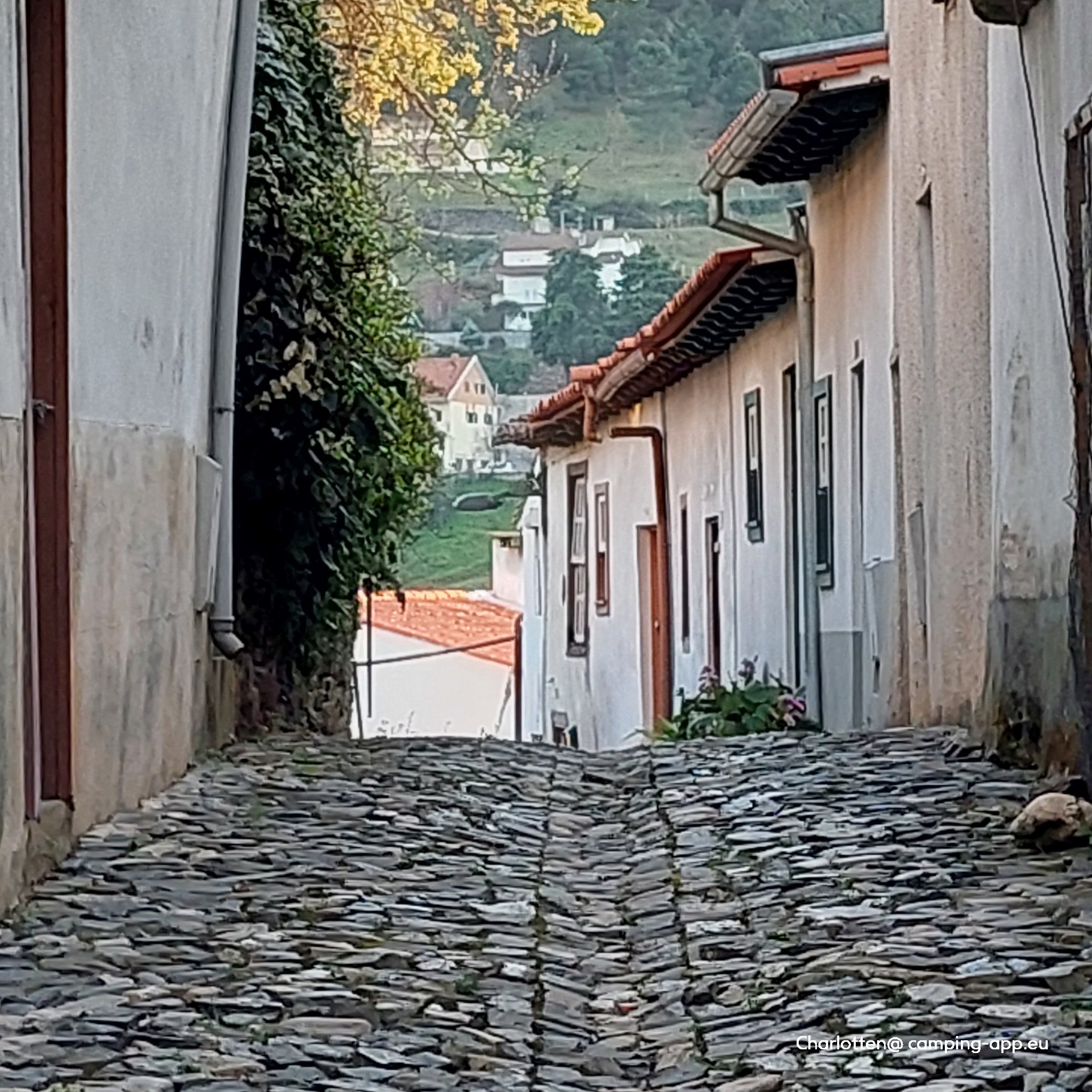 Stellplatz Bragança — Foto 2