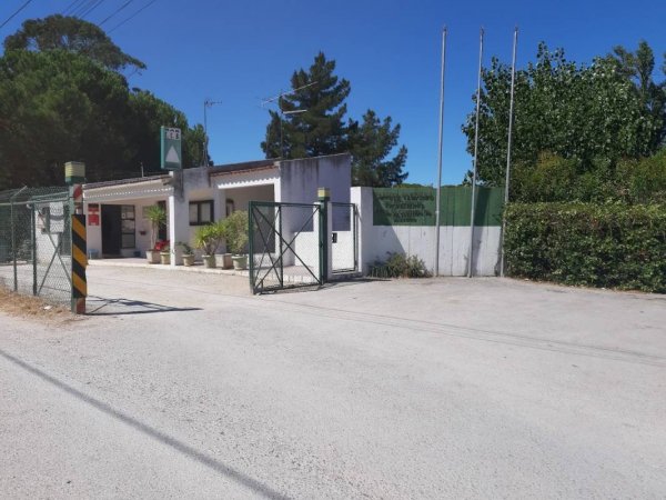 Parque de Campismo Picheleiros