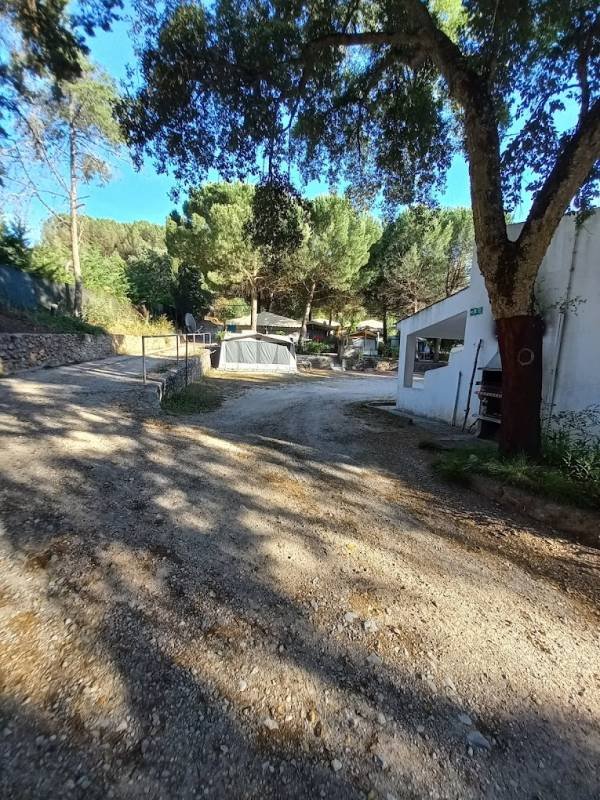 Parque de Campismo Picheleiros — Photo 2