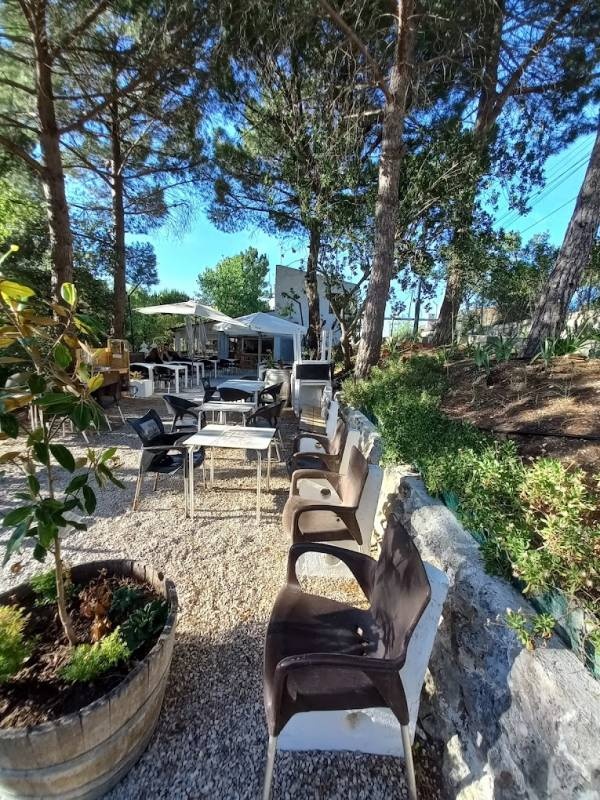 Parque de Campismo Picheleiros — 露营地 in Azeitão