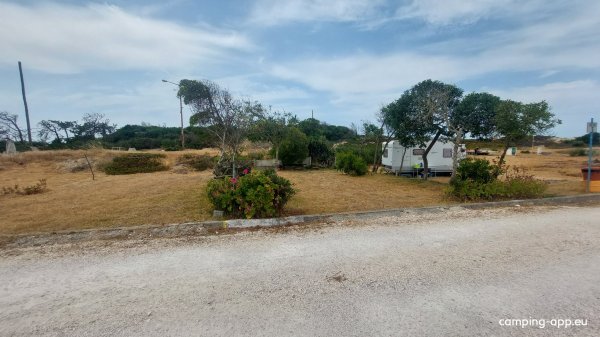 São Pedro de Moel Parque Privado — Photo 5