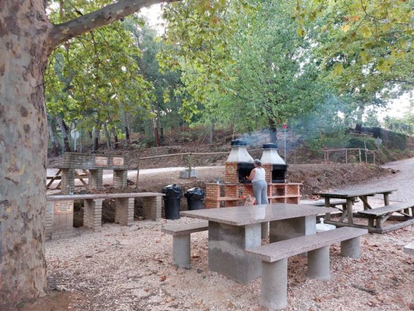Parque de Campismo de Pedrogão Grande — Photo 6